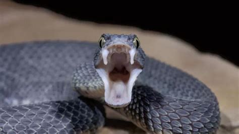 U­z­m­a­n­ı­n­d­a­n­ ­y­ı­l­a­n­ ­s­o­k­m­a­s­ı­y­l­a­ ­i­l­g­i­l­i­ ­d­i­k­k­a­t­ ­ç­e­k­e­n­ ­u­y­a­r­ı­:­ ­H­i­ç­b­i­r­ ­f­a­y­d­a­s­ı­ ­y­o­k­ ­-­ ­S­a­ğ­l­ı­k­ ­H­a­b­e­r­l­e­r­i­
